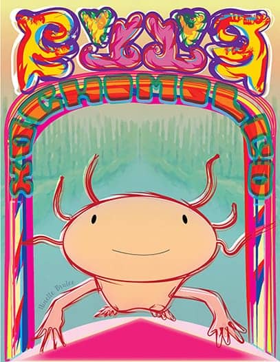 ilustracion digital ajolote