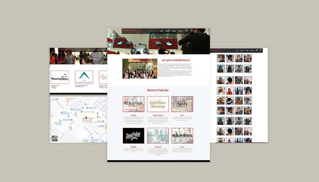 diseno web estilistas en monterrey